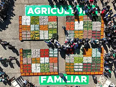 Publicada lei que institui o Programa de Aquisição de Alimentos