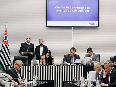 'Lei Ana Benevides': Comissão dá aval e projeto que obriga oferta de água em shows avança na Alesp