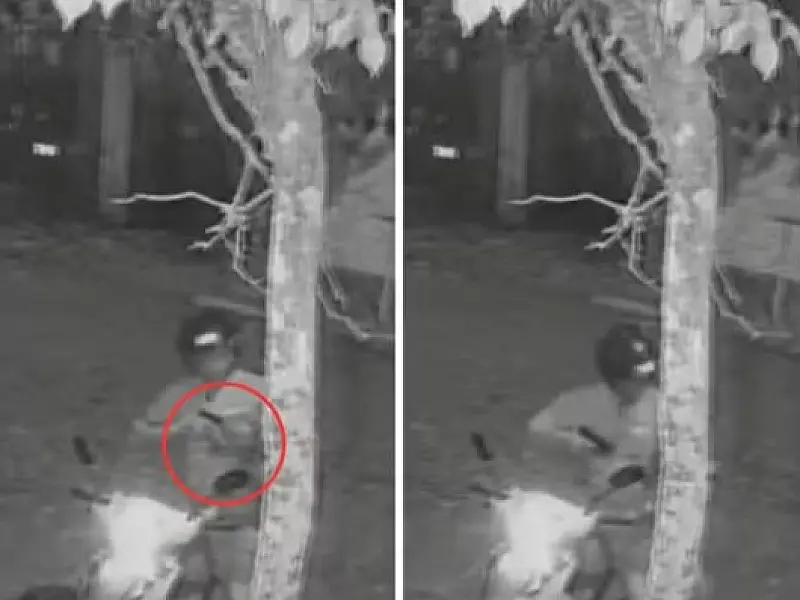 Denunciado guarda municipal que matou cachorra com tiro na cabeça em São Vicente