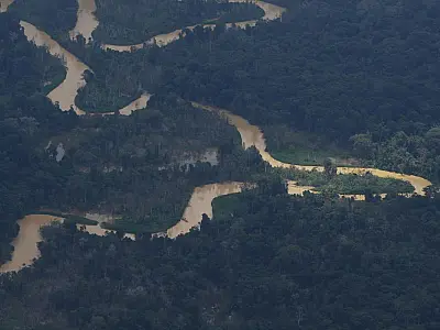 Governo do Pará assina decreto para combater garimpo e desmatamento