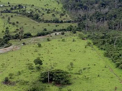 Prazo de entrega da declaração do ITR acaba hoje