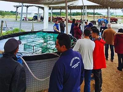 Vale do Ribeira: Sebrae-SP realiza workshop para discutir aquicultura no Vale do Ribeira
