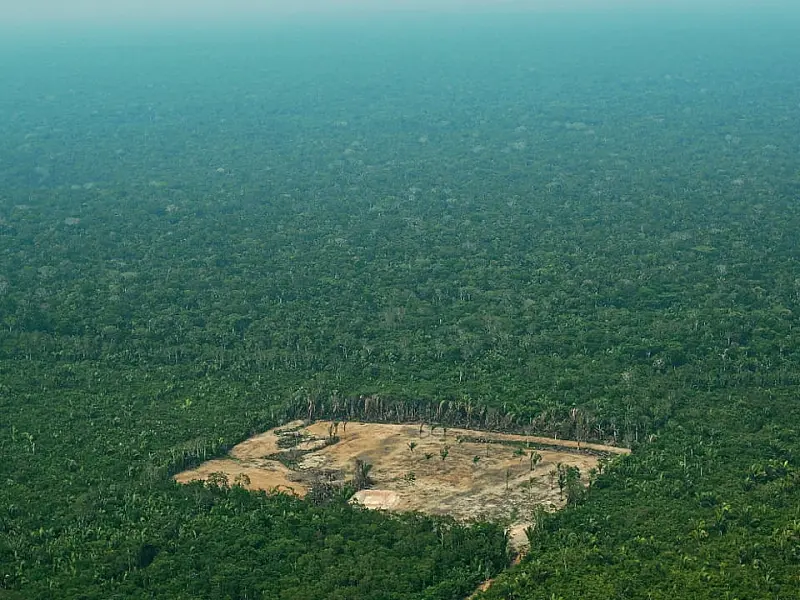 Desmatamento na Amazônia cai 36% no primeiro quadrimestre
