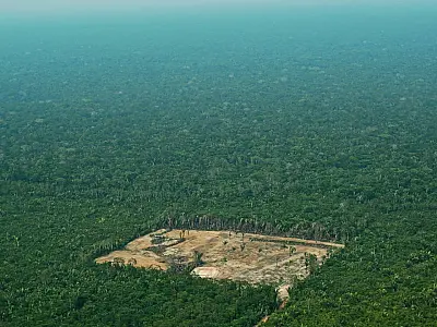 Desmatamento na Amazônia cai 36% no primeiro quadrimestre