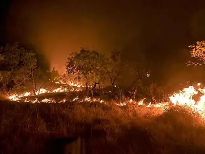 Amazônia: incêndio em área de floresta madura cresceu 152% em 2023
