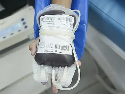 Aplicativo facilitará doações de sangue no Brasil