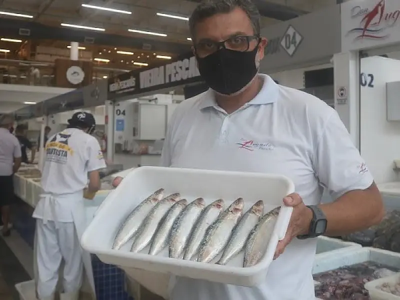Festival no Mercado de Peixes em Santos terá sardinha a R$ 10 o quilo