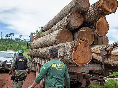 Governo autoriza contratação de 257 servidores para o Ibama