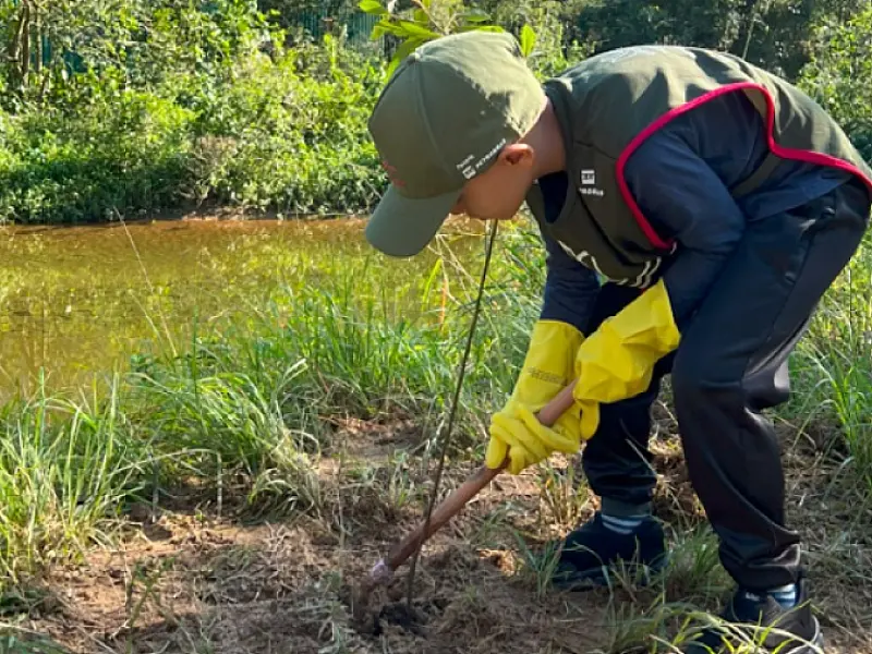 Em Cubatão, Parques Cotia-Pará e Perequê recebem plantio de 100 mudas de árvores