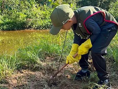 Em Cubatão, Parques Cotia-Pará e Perequê recebem plantio de 100 mudas de árvores