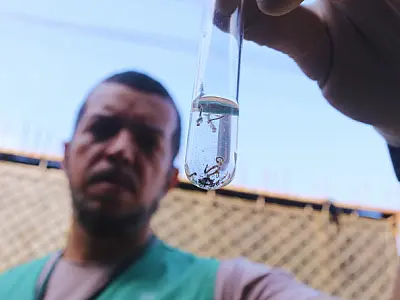 Mesmo com infestação em baixa, mutirão percorre e elimina focos na Zona Noroeste de Santos