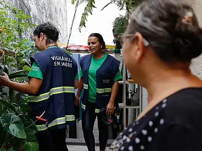 Em um mês, casos de dengue dobram em São Paulo