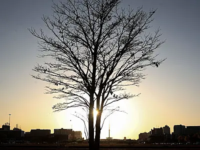 Temperaturas globais devem subir a níveis recordes nos próximos anos