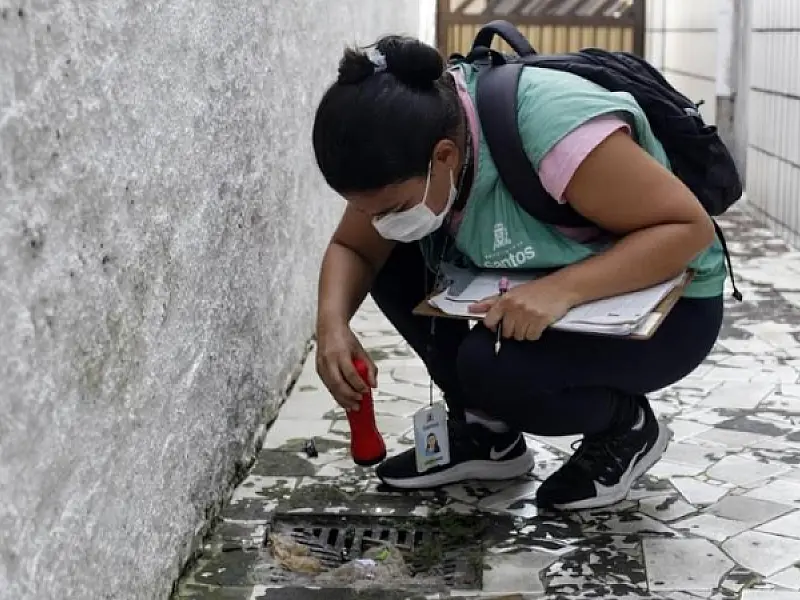 Em 2022, mutirões já eliminaram mais de mil focos com larvas de mosquito