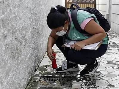 Em 2022, mutirões já eliminaram mais de mil focos com larvas de mosquito