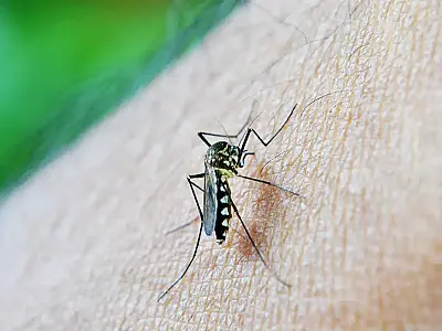 Epidemia de dengue faz Natal decretar emergência em saúde