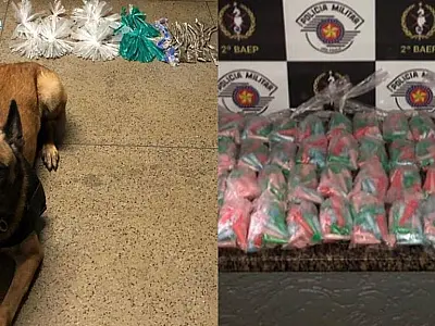 PM faz duas apreensões de drogas numa mesma operação em São Vicente; um homem é preso
