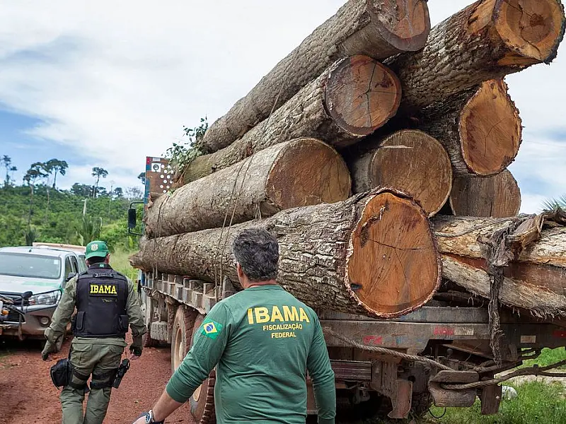Ibama: Grupo vai fiscalizar fraudes em sistemas de controle florestal