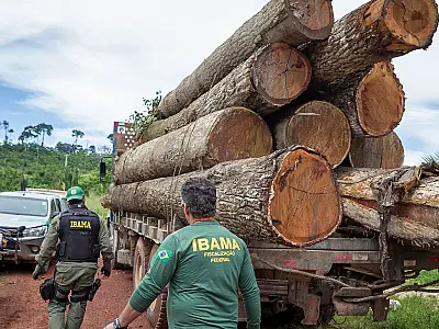 Ibama: Grupo vai fiscalizar fraudes em sistemas de controle florestal