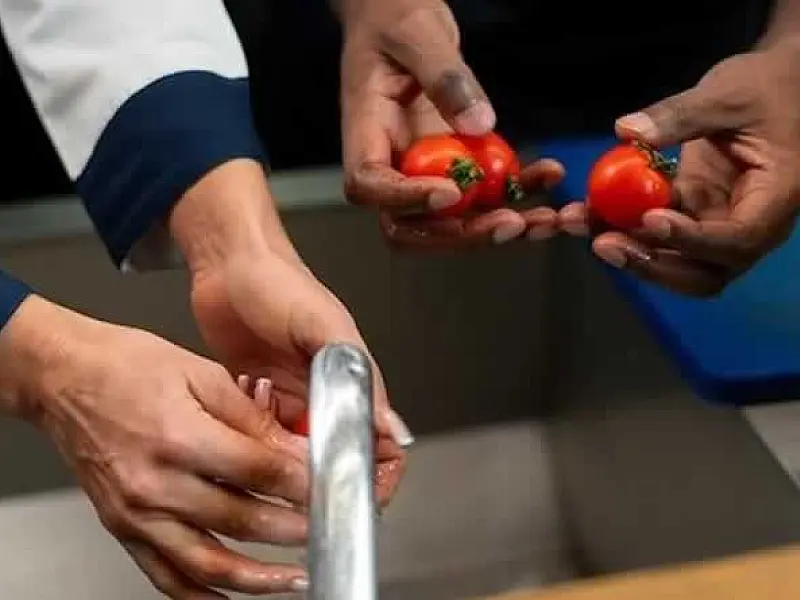 SINHORES tem vagas abertas para curso de Higiene e Manipulação de Alimentos