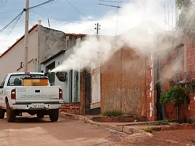 Ivermectina não é eficaz contra dengue, alerta Ministério da Saúde