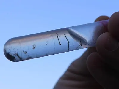Santos terá semana de combate ao Aedes aegypti com foco em orientação a moradores