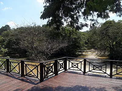 Festivais de Inverno se espalham e aquecem o Estado de SP