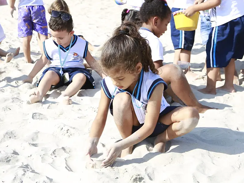 Protagonismo: Escolas de Guarujá e Blumenau constroem "Caixas da Natureza"