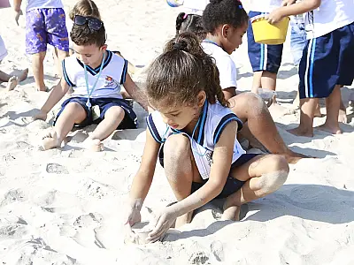 Protagonismo: Escolas de Guarujá e Blumenau constroem "Caixas da Natureza"