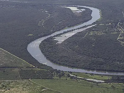 Mata Atlântica: desmatamento cai em áreas contínuas entre 2022 e 2023