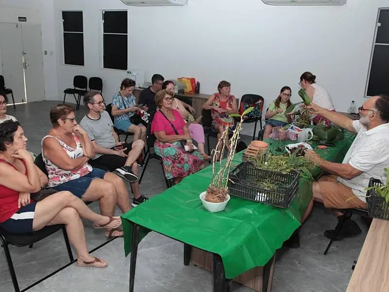 Orquidário de Santos receberá festival com oficina e variedade de orquídeas à venda