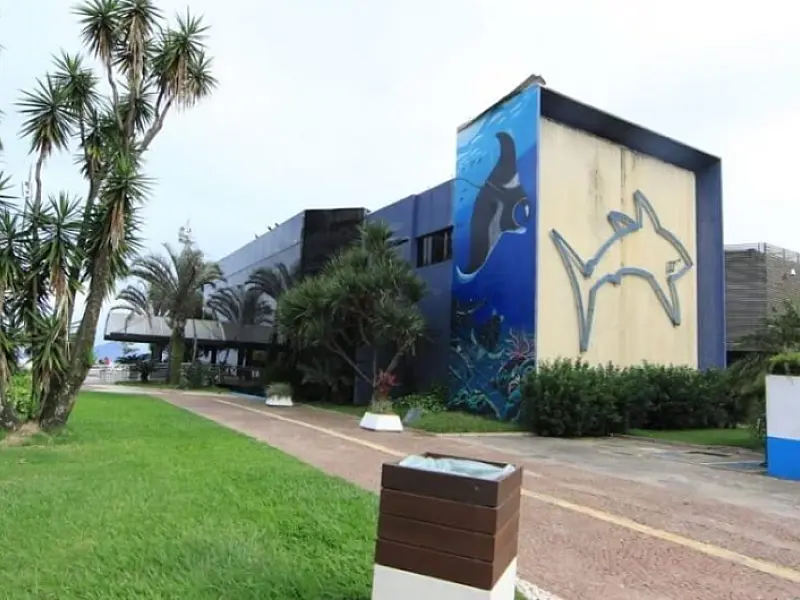 Aquário de Santos promove atividades educativas em outubro