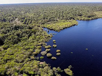 Geral
Criação do Museu das Amazônias é lançada em Belém