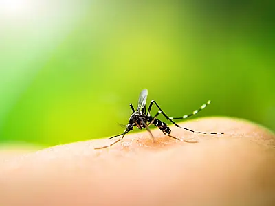 Teste rápido para dengue permite pronta notificação e tratamento precoce em Bertioga