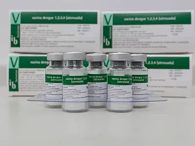 Vacinação da dengue prioriza regiões com alta transmissão da doença