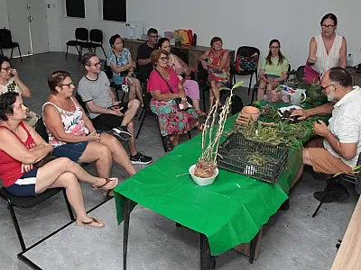Orquidário de Santos oferece curso de cultivo e replantio de Orquídeas neste sábado