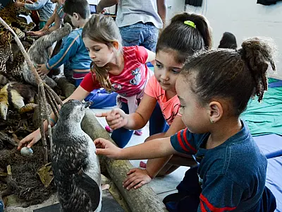 Em Bertioga, Curso de férias 'De Olho na Mata Ciliar' está com inscrições abertas