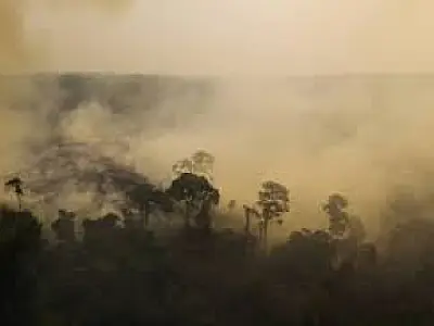 Nasa projeta risco alto para Norte e Centro-Oeste do Brasil com 2°C de aquecimento do planeta