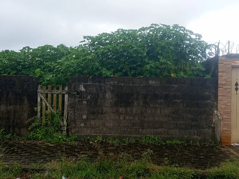 Cuidado com terrenos particulares é alvo de vistorias constantes da Vigilância Sanitária em Mongaguá