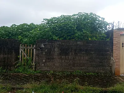 Cuidado com terrenos particulares é alvo de vistorias constantes da Vigilância Sanitária em Mongaguá