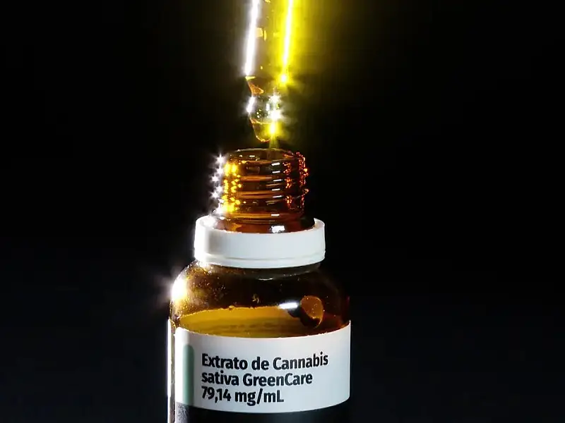 Governo de SP regulamenta fornecimento de cannabis medicinal pelo SUS