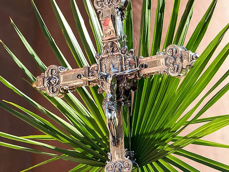 Igrejas católicas da Baixada celebram o Domingo de Ramos 