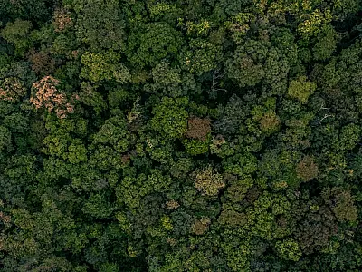 Ministro norueguês diz que Brasil voltou a ser liderança ambiental