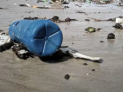Microplástico pode transportar para oceanos germes que causam doenças