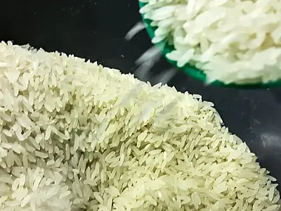 Governo anula leilão e cancela compra de arroz importado