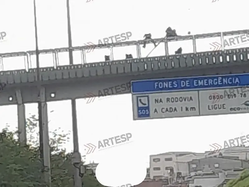 Número de suicídios nas rodovias paulistas e ocorrência na Imigrantes ligam alerta sobre a questão