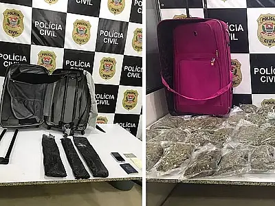 Polícia investiga uso de estudantes de Medicina como mulas do tráfico
