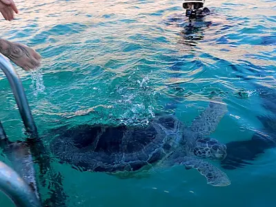 Brasil ganha instituto nacional voltado à pesquisa sobre oceanos