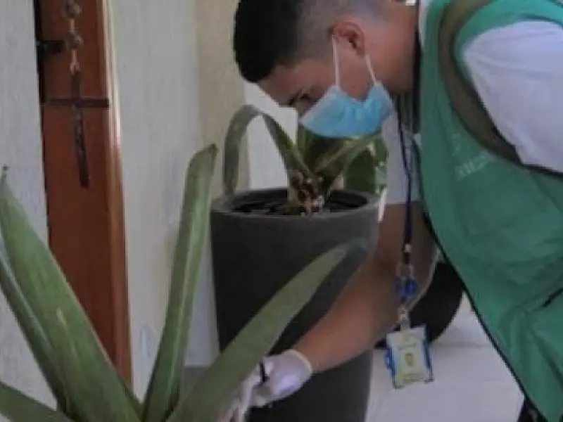 Bairro do Macuco recebe mutirão contra o Aedes Aegypti