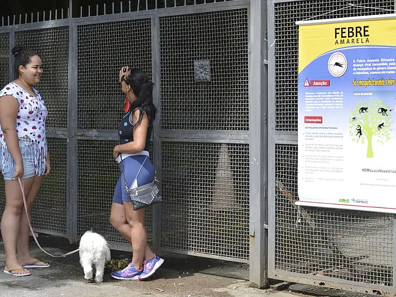 SP volta a registrar mortes por febre amarela após dois anos sem casos